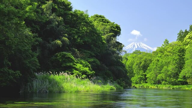 静岡県の駿東郡清水町を流れる清流で有名な柿田川と富士山