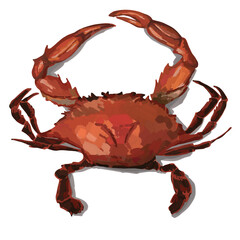 Hand drawn artistic food illustration of crab
