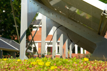 Green roof with solar panels. Sedum rooftop garden with photo voltaic. Sustainable foof garden with...