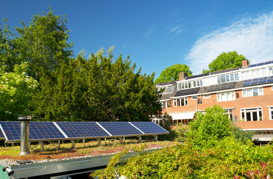 Green roof with solar panels. Sedum rooftop garden with photo voltaic. Sustainable foof garden with solar energy panels. 