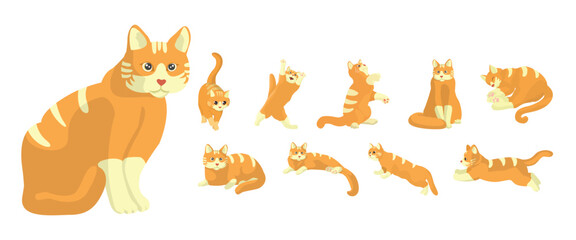 Cat Pose Set Illustrations Collection. Cat Illustrations.