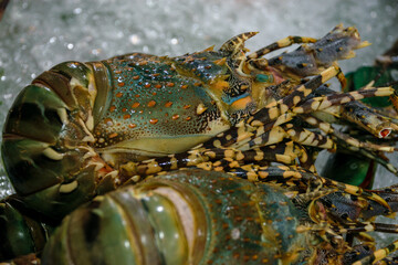 Lobster from traditional food market and bazar in Thailand