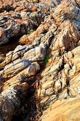 closeup of beautiful rock cliffs with green trees and grass. Backgrounds