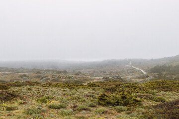 Portuguese landscape in the rainy season in the southwest of the country, in the Algarve region. An equatorial green landscape. The country's biodiversity. Difference and diversity