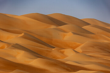 Fototapeta na wymiar desert dunes at sunrise in emirates arabia