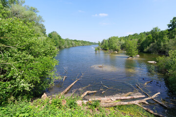 Pond in the Livry Sensitive Nature reserve. Île-de-France region