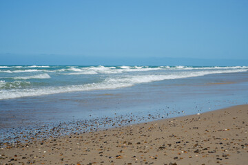 North sea shore landscape West Coast in Denmark. Nature, environmental conservation, ecotourism.