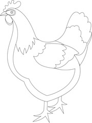 Cartoon farm animal hen chicken rooster pheasant bird vector graphic