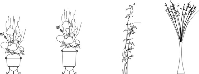 Sketch vector illustration of ornamental plants in pots to decorate the room