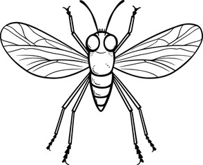Mosquito, colouring book for kids, vector illustration