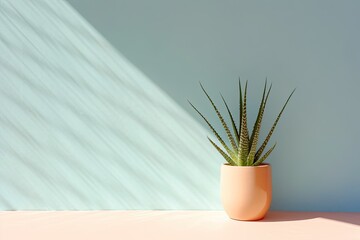 0249. Aloe vera in front of light pastel wall. Generative AI