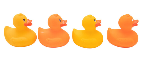 Υellow and orange color rubber ducks isolated on transparent background, Ducks in a row. PNG, 