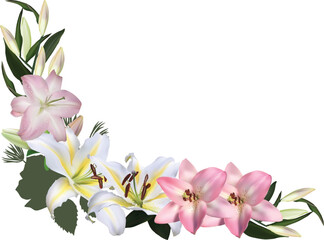 isolated angle shape lily design with five blooms