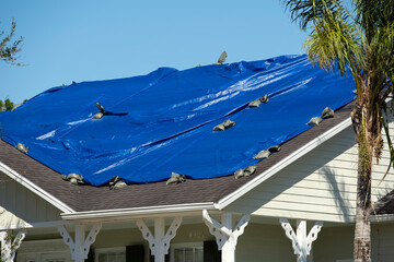 Damaged in hurricane Ian house roof covered with blue protective tarp against rain water leaking...