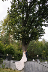 Beautiful wedding couple stand by the big tree. Gorgeous wedding dress