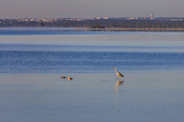 Beautiful landscape of the Baltic Sea in Rzucewo at sunrise, Poland