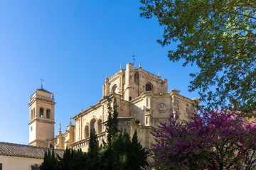 Fototapeta premium Granada, The Royal Monastery of St. Jerome.