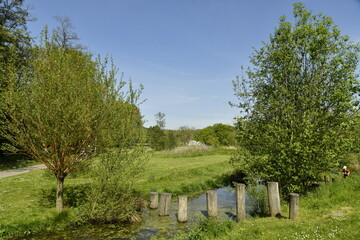 Plots Dans Ruisseau Pleine Nature
