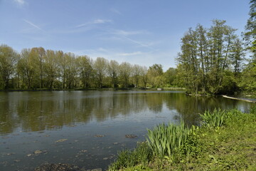Fototapeta na wymiar Reflet des arbres dans l'un des étangs du domaine provincial de Kessel-Lo à Louvain 