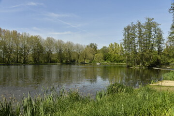 Fototapeta na wymiar Reflet des arbres dans l'un des étangs du domaine provincial de Kessel-Lo à Louvain 