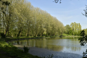 Reflet des arbres dans l'un des &eacute;tangs du domaine provincial de Kessel-Lo &agrave; Louvain 