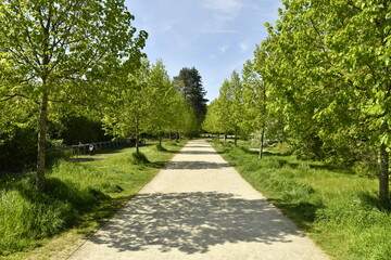 L'un des chemins en gravier beige entre bois au domaine provincial de Kessel-Lo à Louvain 