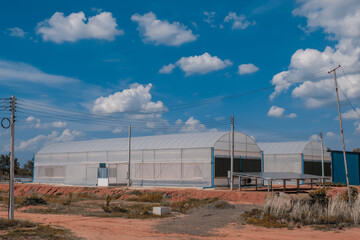 Fototapeta na wymiar Two greenhouses with solar panels