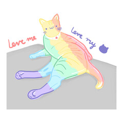 Rainbow cat