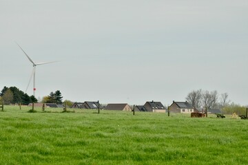 Paysage typiquement rural entre pâtures et fermes à Ghislenghien (Ath) 