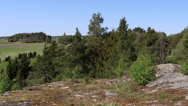 Landscape view. Typical Scandinavian countryside. Hjälstaviken nature reserve, Sweden. May 2022.