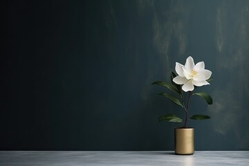 0408. Jasmine flower in front of dark wall. Generative AI
