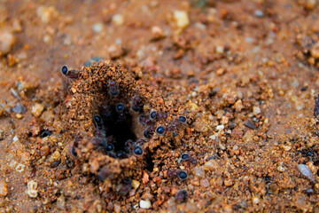 Building an Underground City