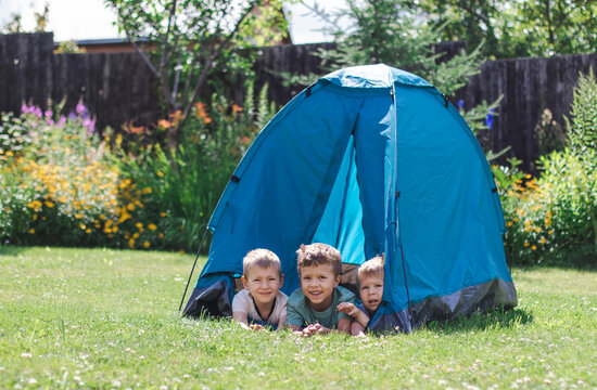 Three little boys lie in a blue tourist tent in the yard. The concept of sports, summer holidays, hiking and happy childhood