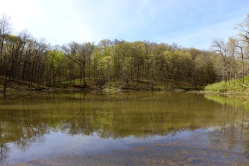 Fototapeta na wymiar The peaceful lake in the woods on a sunny day.