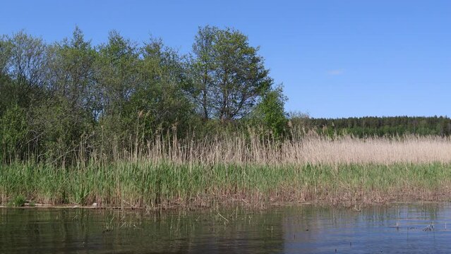 Water at M&auml;laren lake. One summer day outside in nature. Month of May. Stockholm, Sweden.