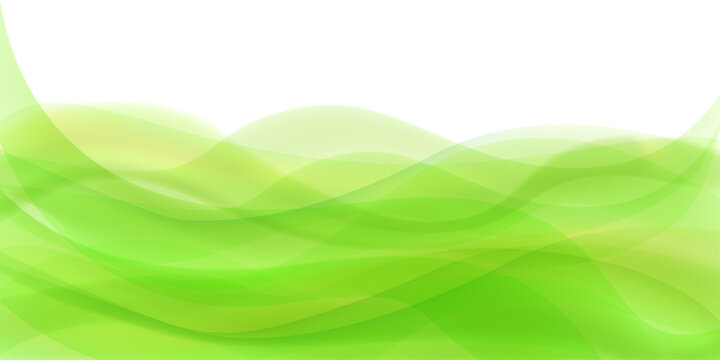 緑イメージ　新緑の木漏れ日の背景素材