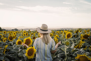 Woman wearing dress and straw hat and standing in sunflower field. Hot summer day weather at countryside