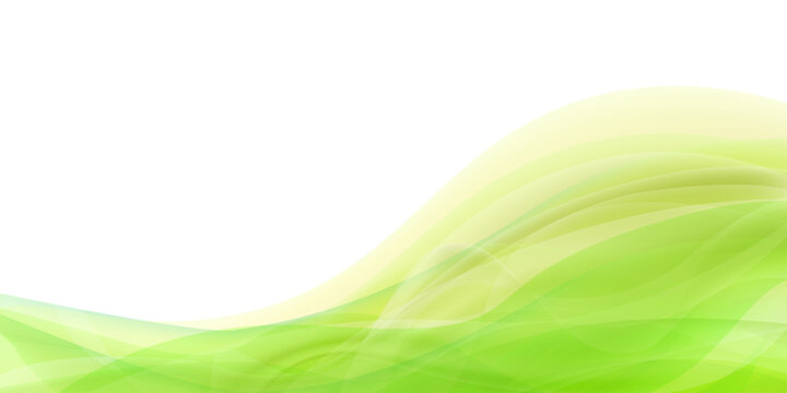 緑イメージ　新緑の木漏れ日の背景素材