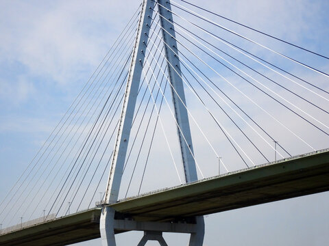 大型の斜張橋 © tohaku