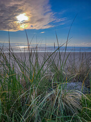 Early sunset at the Oregon Coast with grass and rock in foreground.