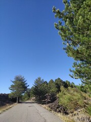 road in the mountains