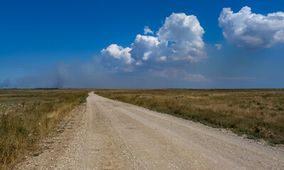 Fototapeta na wymiar A smooth dirt road in the steppe on the Crimean peninsula, cumulus clouds in the sky