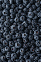 Fresh ripe washed blackberries background