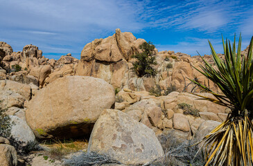 Fototapeta na wymiar Rock Formations in The Hemmingway Buttress Area , Joshua Tree National Park, California, USA