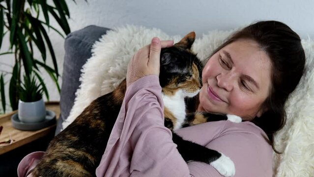 close-up of adult domestic cat, middle-aged woman of 50 years old in pink sweater sits on sofa in room, concept of stay at home, cozy home, keeping four-legged pets, pet care, daily life