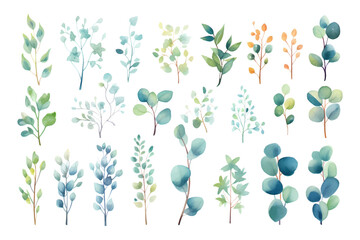 Set of colorful beauty watercolor vector branches