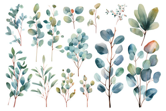 Set of colorful watercolor vector branches and leaves