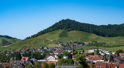 View of Kappelrodeck in the acher valley. Black Forest, Baden-Wuerttemberg, Germany, Europe
