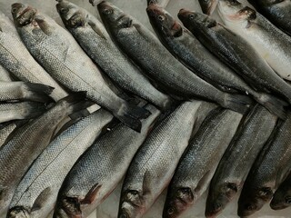 heaps of fresh raw fish are being sold in fish shops, the price of fish in Turkey has risen again due to inflation