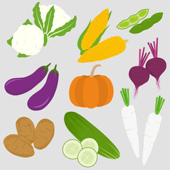 collection of vegetables flat element